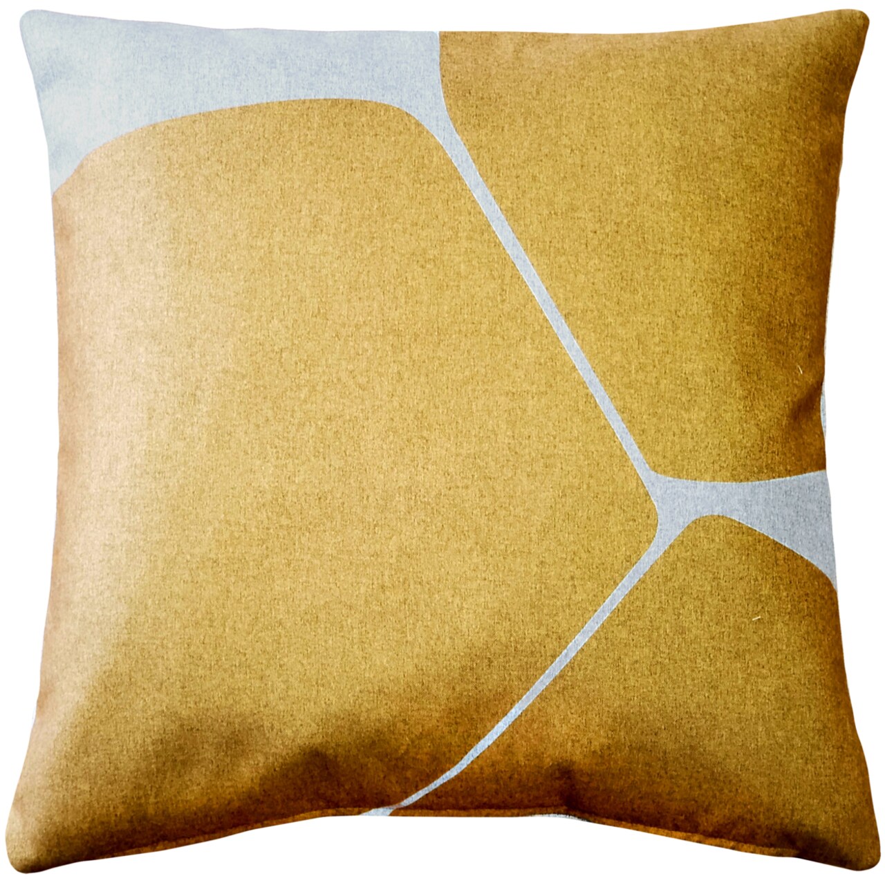Pillow D�cor Aurora Renaissance Gold Throw Pillow 19x19 Inches Square, Complete Pillow with Polyfill Pillow Insert